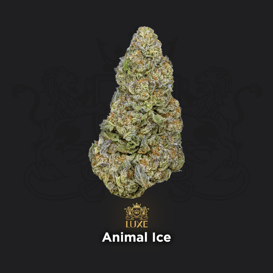 Animal Ice | Indoor Grown THCa Flower