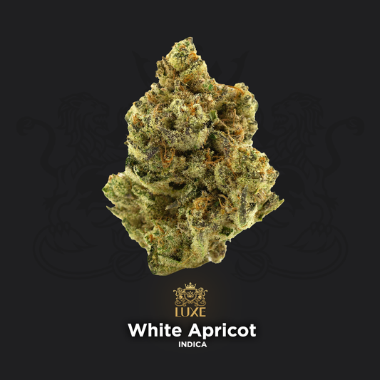 White Apricot | Indoor Grown THCa Flower