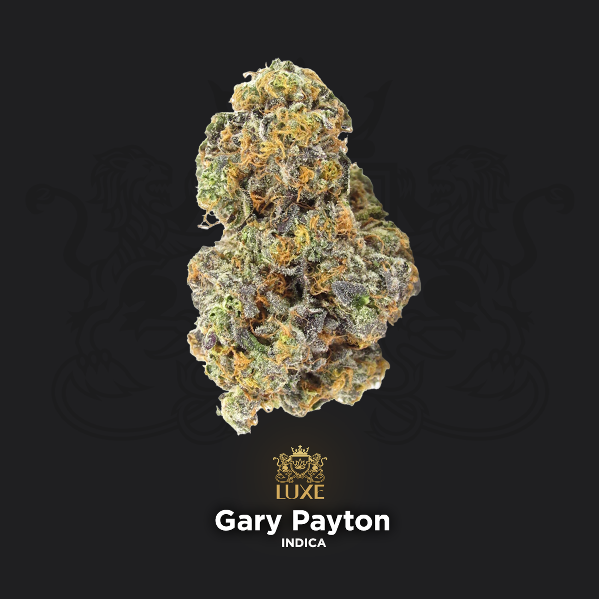 Gary Payton | Indoor Grown THCa Flower