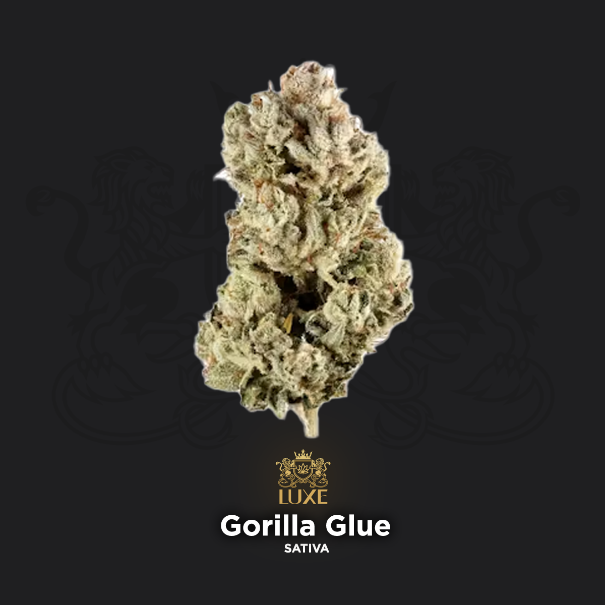 Gorilla Glue | Indoor Grown THCa Flower