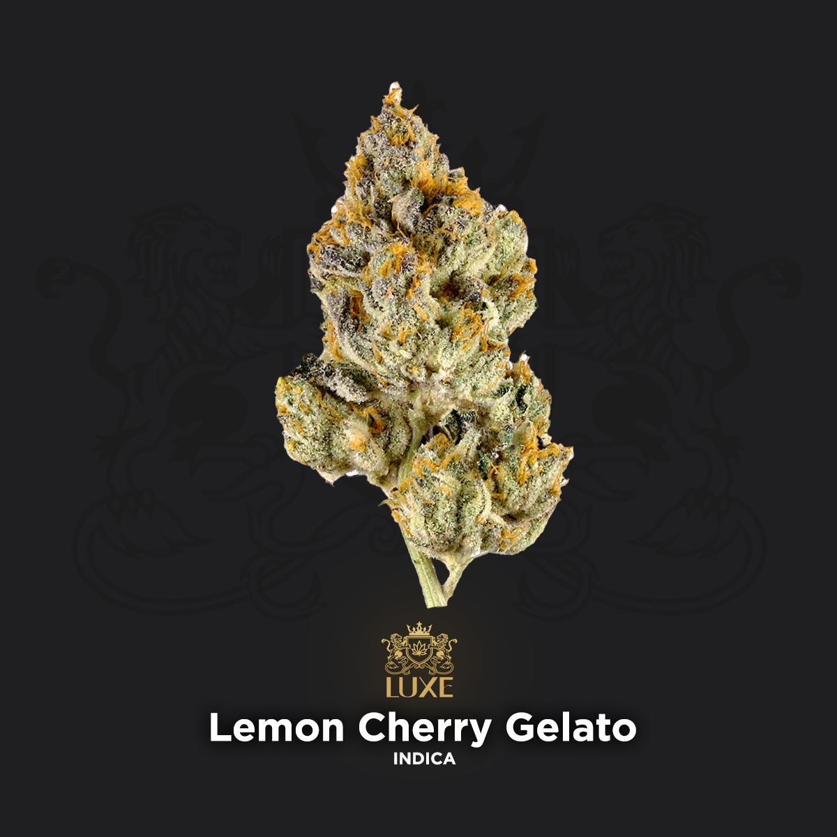 Lemon Cherry Gelato | Indoor Grown THCa Flower