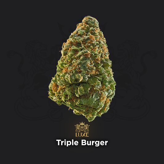 Triple Burger | Indoor Grown THCa Flower